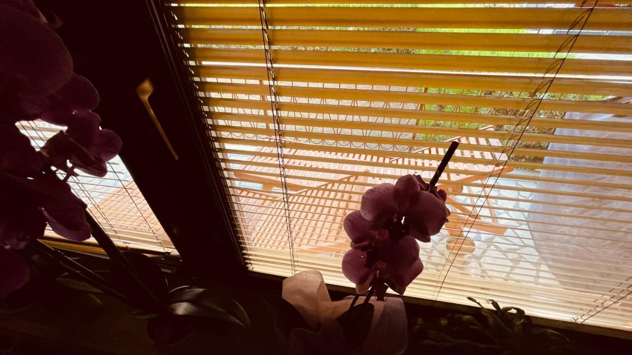 The Secret Orchid Apartment Rovinj Luaran gambar