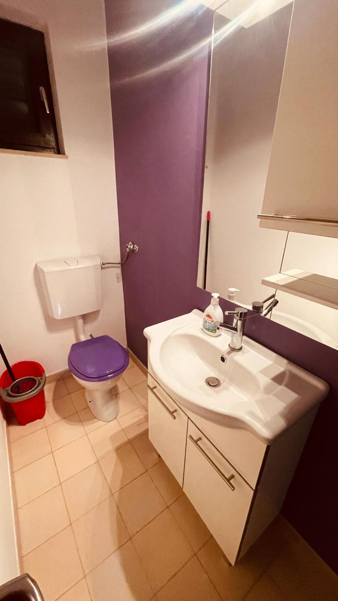 The Secret Orchid Apartment Rovinj Luaran gambar